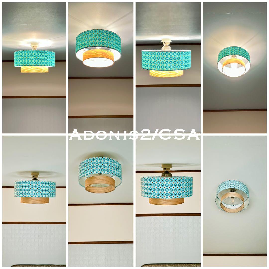 天井照明 シーリングライト Adonis2/C E26 LED 北欧 インテリア