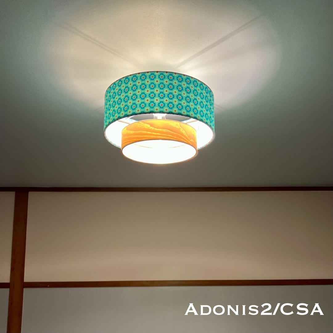天井照明 シーリングライト Adonis2/C E26 LED 北欧 インテリア