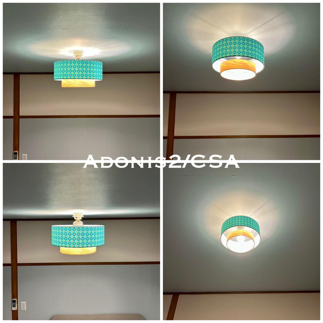 天井照明 シーリングライト Adonis2/C E26 LED 北欧 インテリア