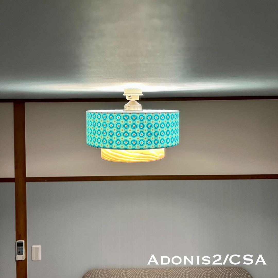 天井照明 シーリングライト Adonis2/C E26 LED 北欧 インテリア