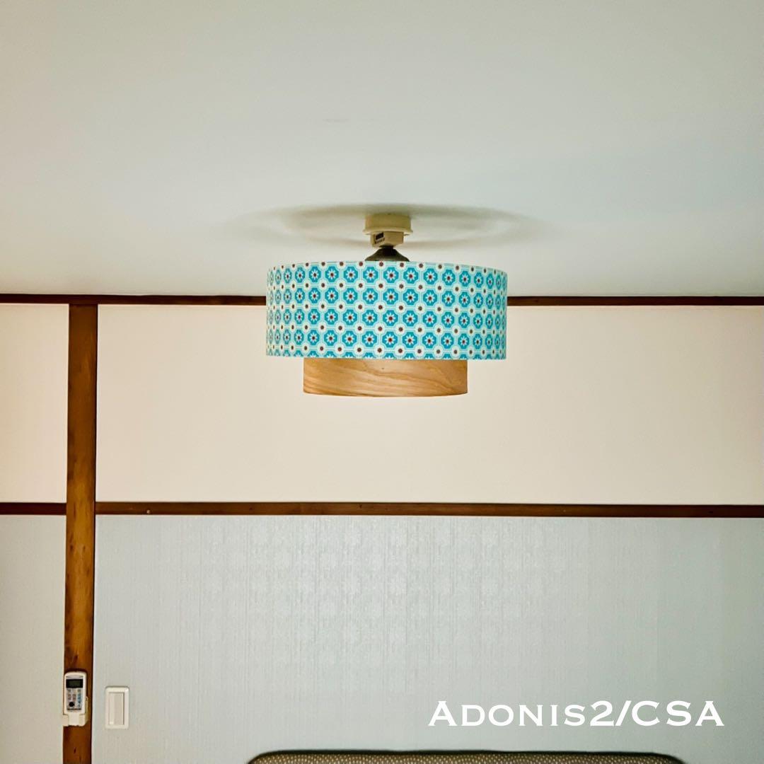 天井照明 シーリングライト Adonis2/C E26 LED 北欧 インテリア