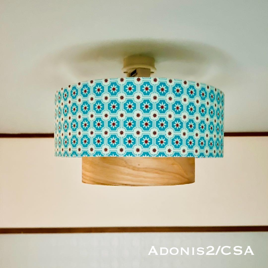 天井照明 シーリングライト Adonis2/C E26 LED 北欧 インテリア