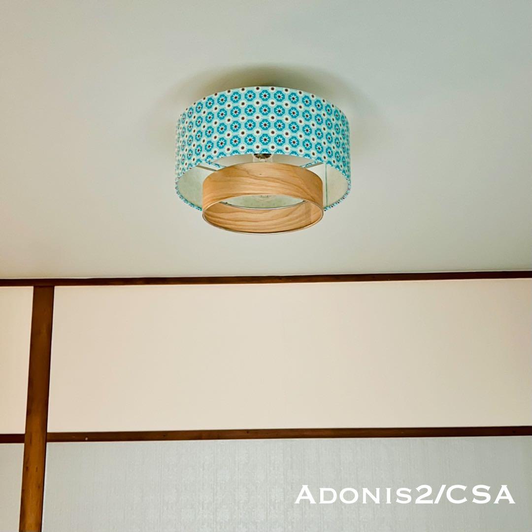 天井照明 シーリングライト Adonis2/C E26 LED 北欧 インテリア