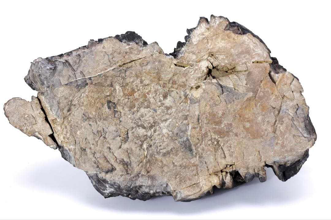 古谷石 遠山 連山 滝石 13.4kg 水石 鑑賞石 天然石 原石 盆石 静岳石