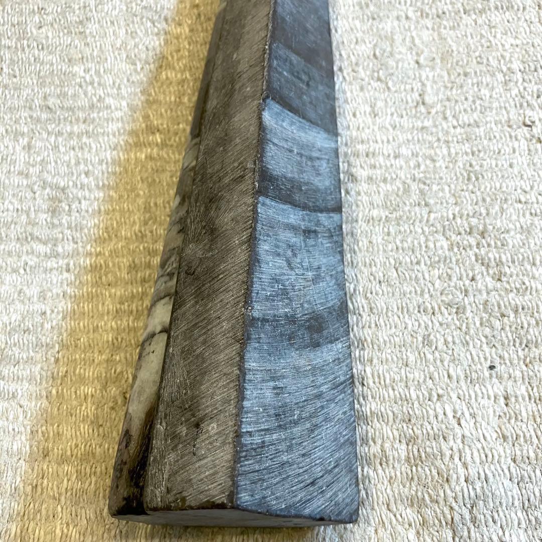 超希少 特大 オルソセラス オルトセラス 直角貝 化石 古生代