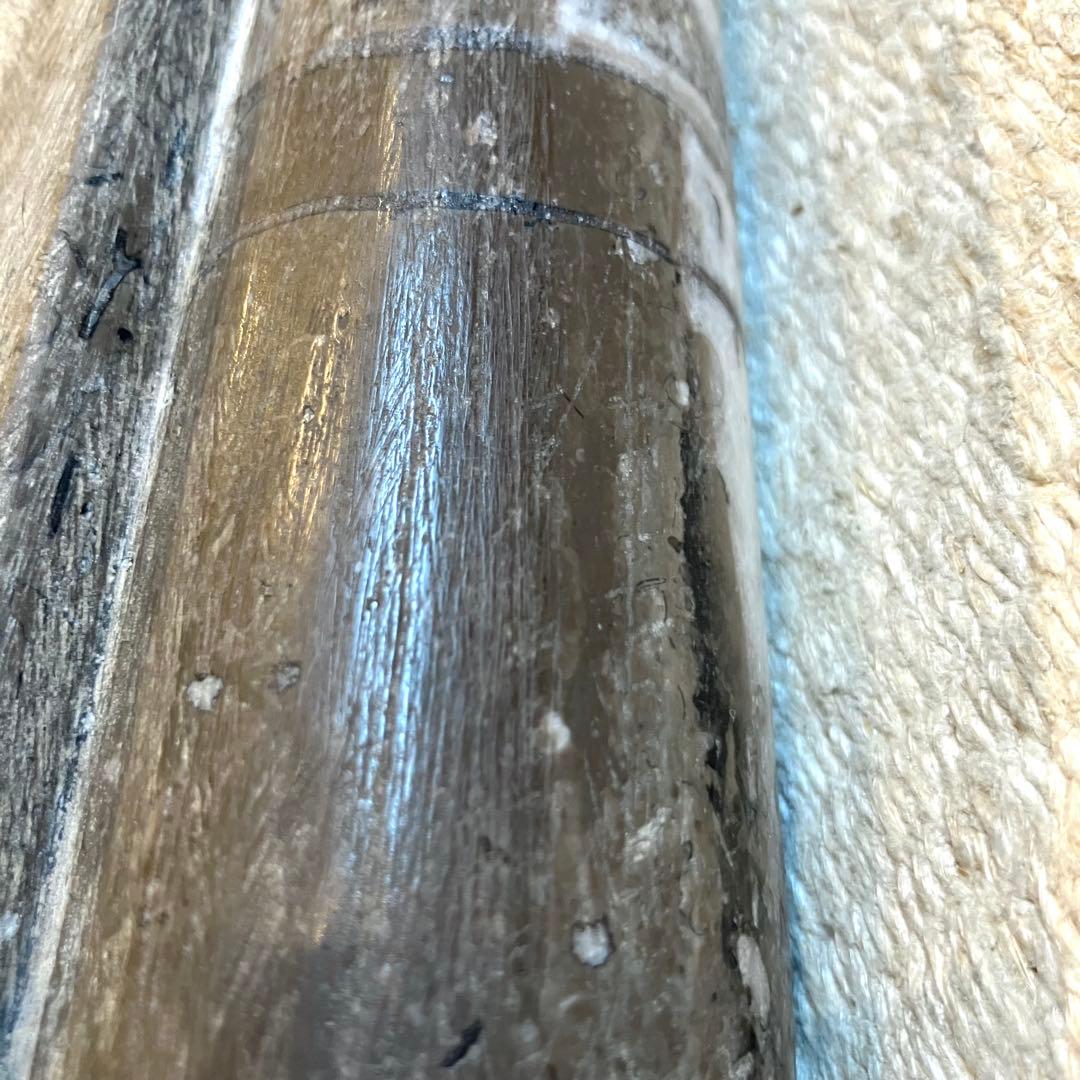 超希少 特大 オルソセラス オルトセラス 直角貝 化石 古生代