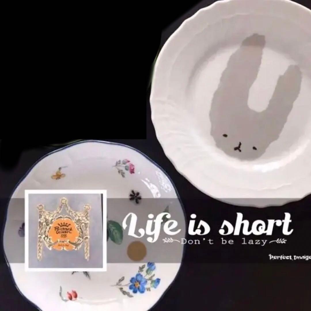 リチャードジノリ× mina perhonen 食器