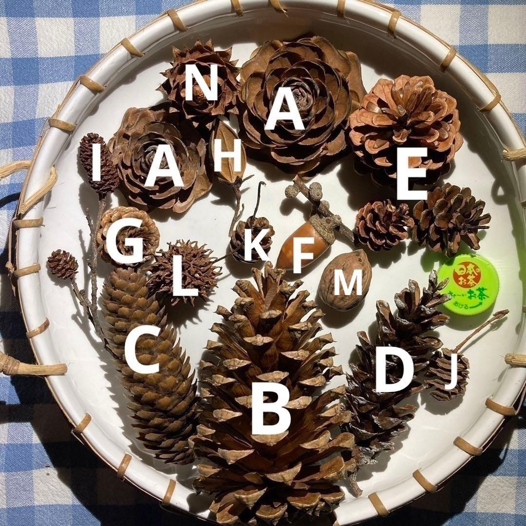 木の実のオーダー承ります♡コメントお願い致しますm(_ _)m