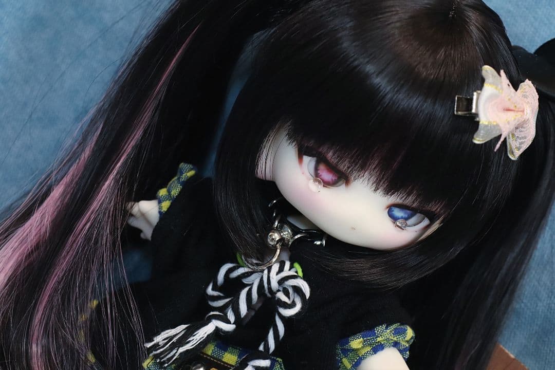 大きい子犬わたあめ フルセット