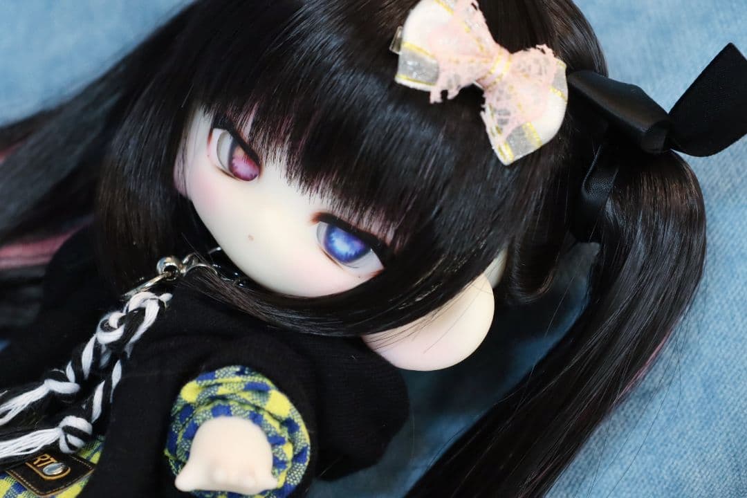 大きい子犬わたあめ フルセット