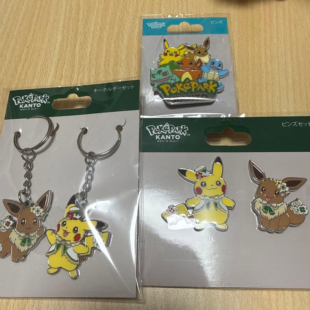 ポケパーク カントー 限定 ピンズ ピンズセット キーホルダーセット