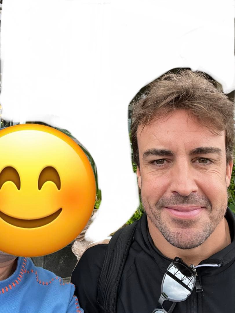 アルピーヌ Alpine A552 アロンソ ブラジルGP 5位 直筆サイン入 - メルカリ