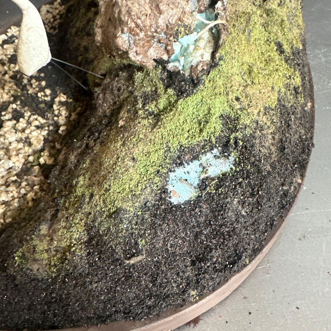 フェイク！中型盆栽 苔と土の植え込みの鉢 - メルカリ