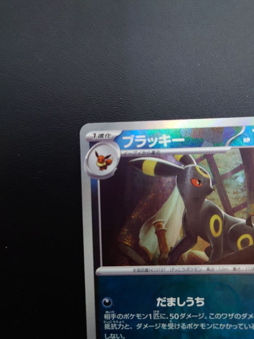 ブラッキー マスターボール