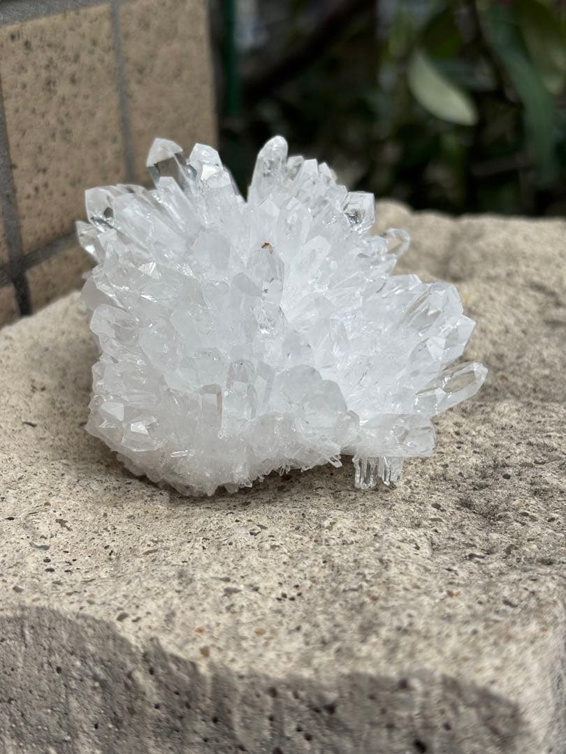 【強力浄化】希少！虹入り⭐小さめ菊花水晶クラスタ➖⭐️N142