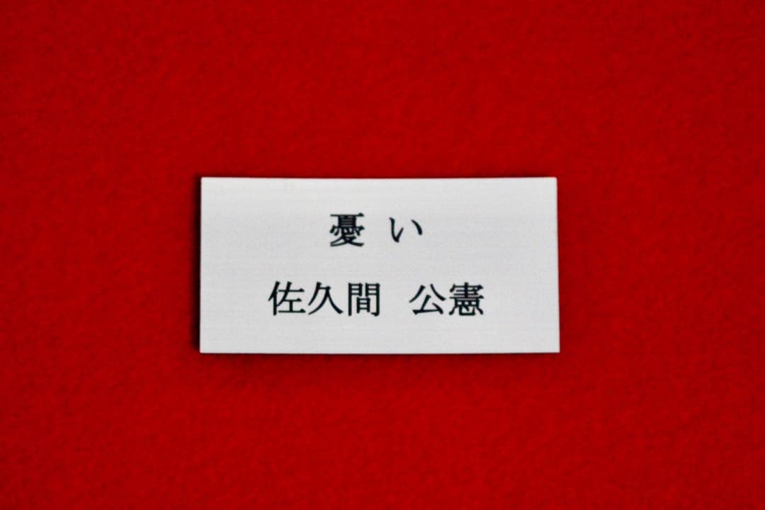 花乙女コレクション【佐久間公憲　憂い】購入金額より60％お値引き！！