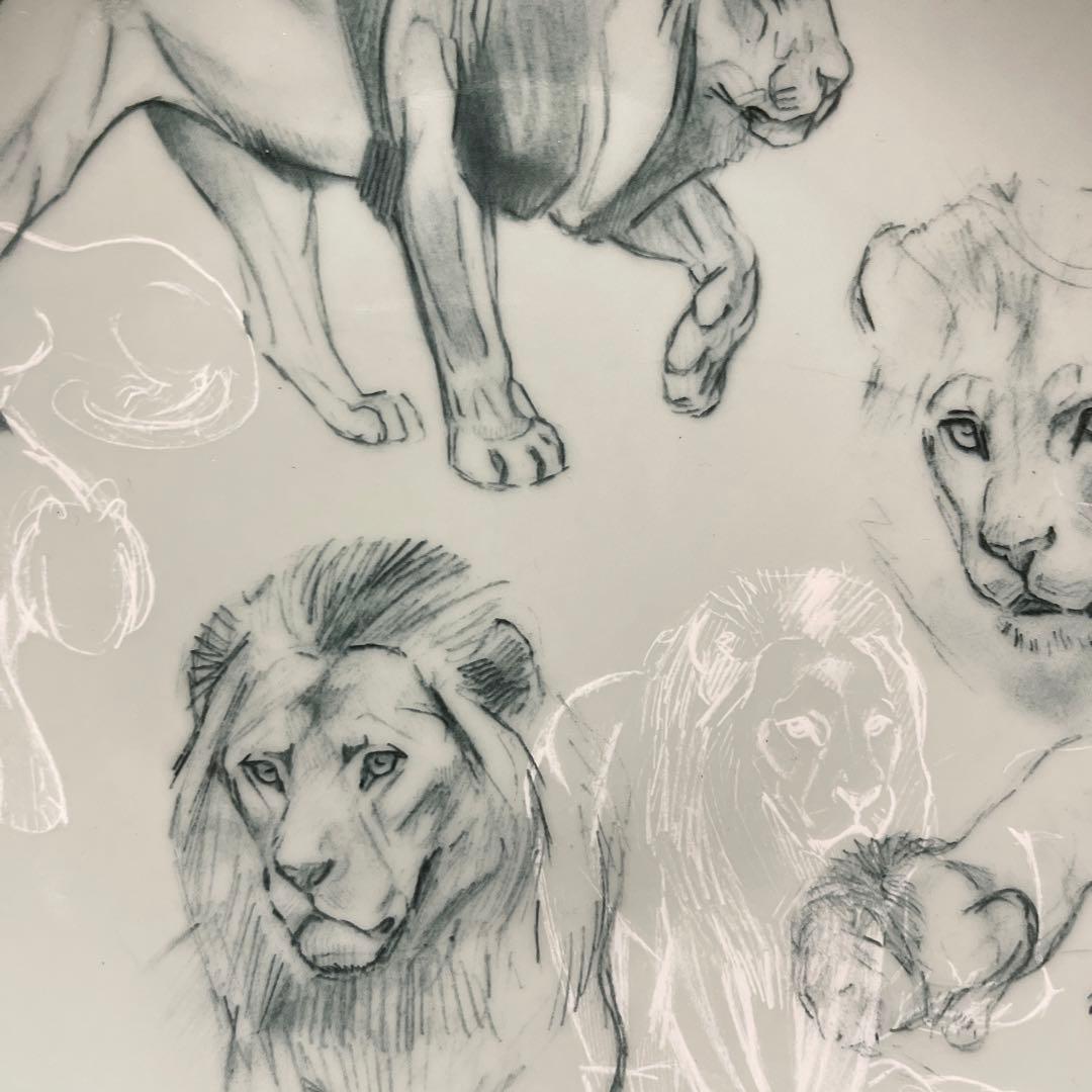 【希少】HERMES 赤道直下のスケッチ　プレート　1枚　【未使用】