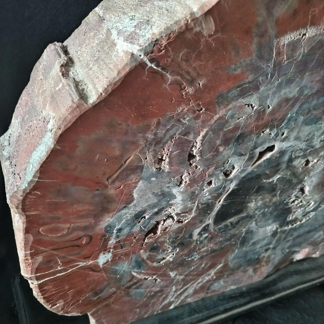 アリゾナ州産 珪化木 大迫力 32kg 木化石 木石 前落札者