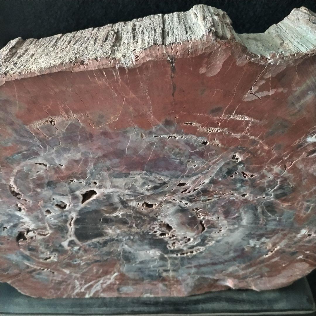 アリゾナ州産 珪化木 大迫力 32kg 木化石 木石 前落札者