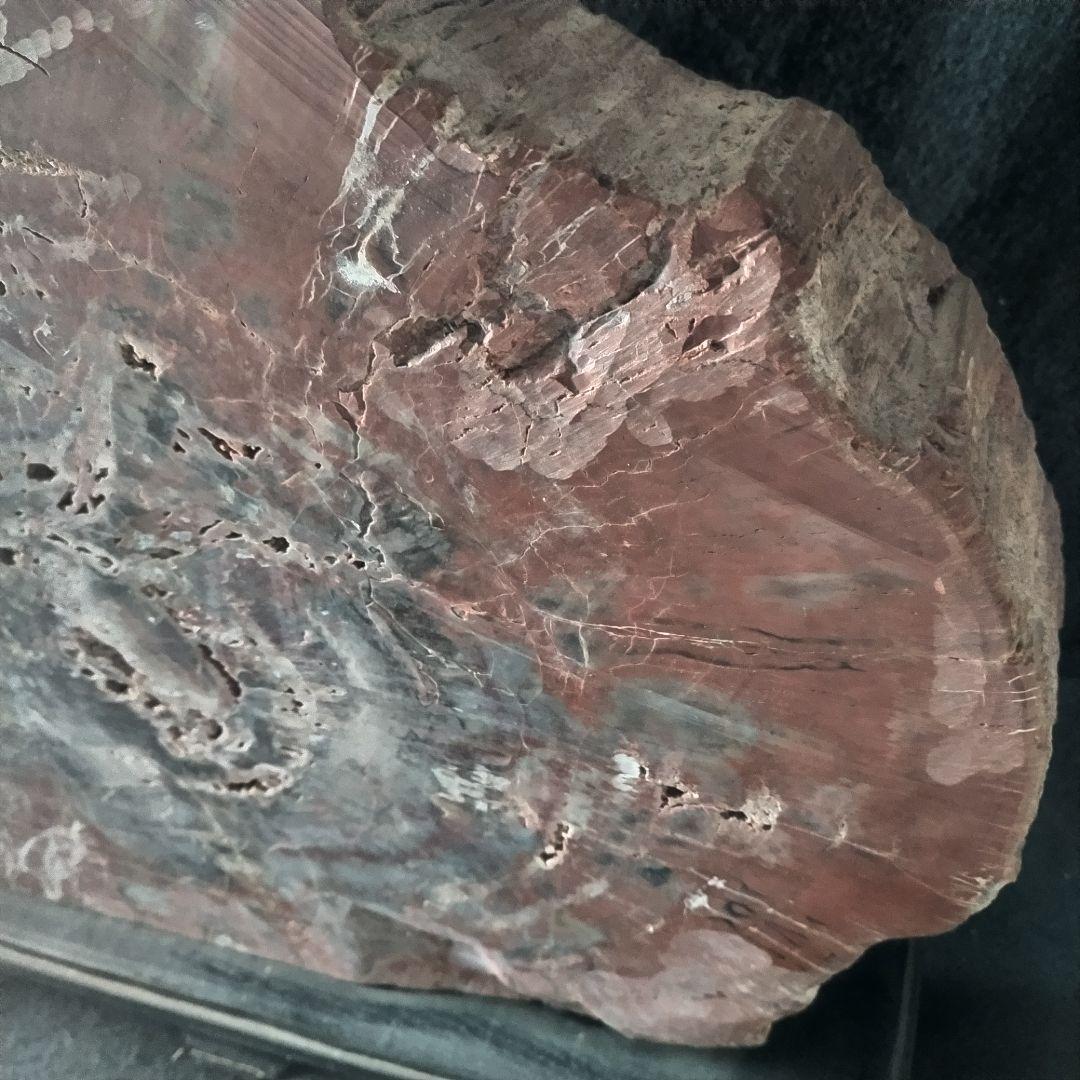 アリゾナ州産 珪化木 大迫力 32kg 木化石 木石 前落札者