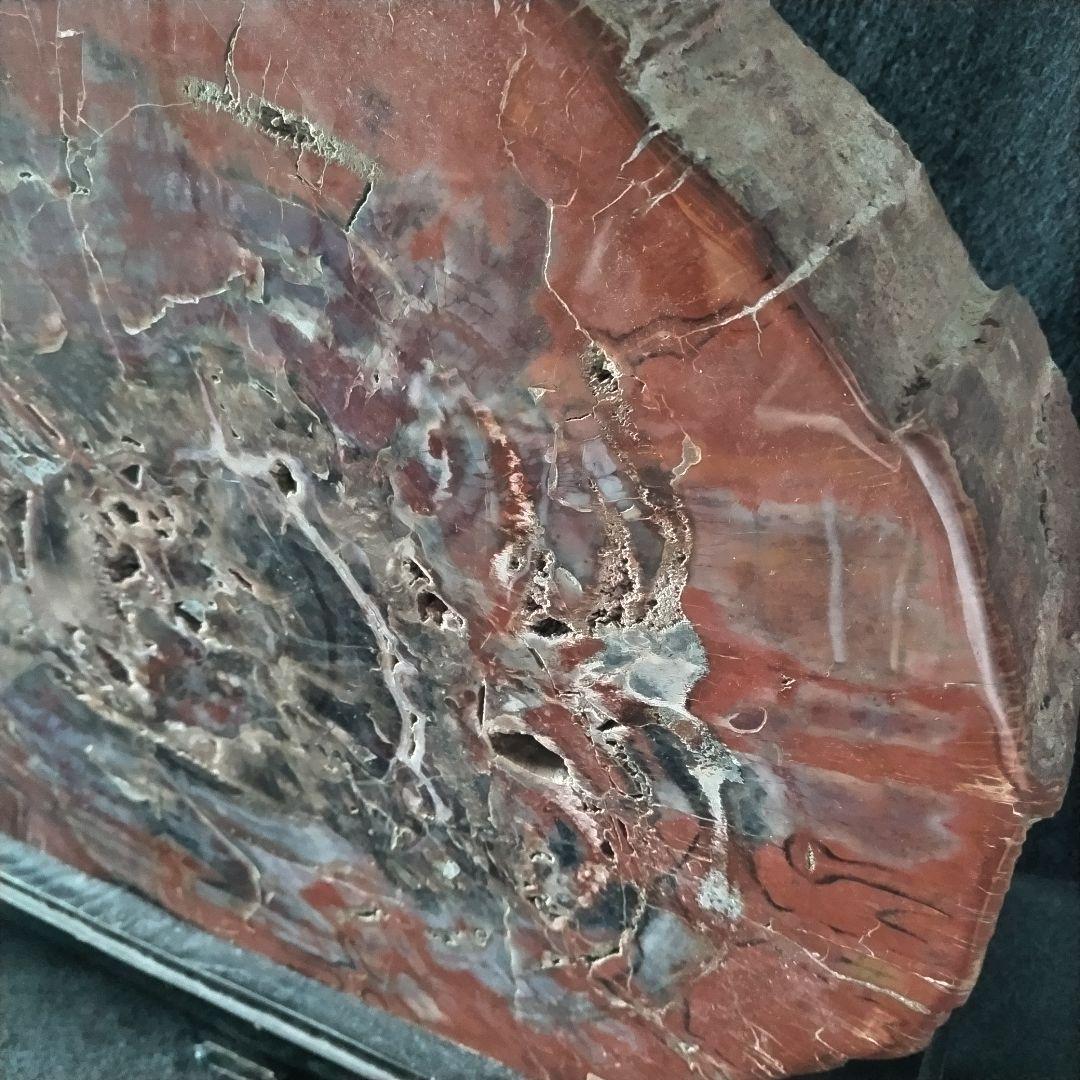 アリゾナ州産 珪化木 大迫力 32kg 木化石 木石 前落札者