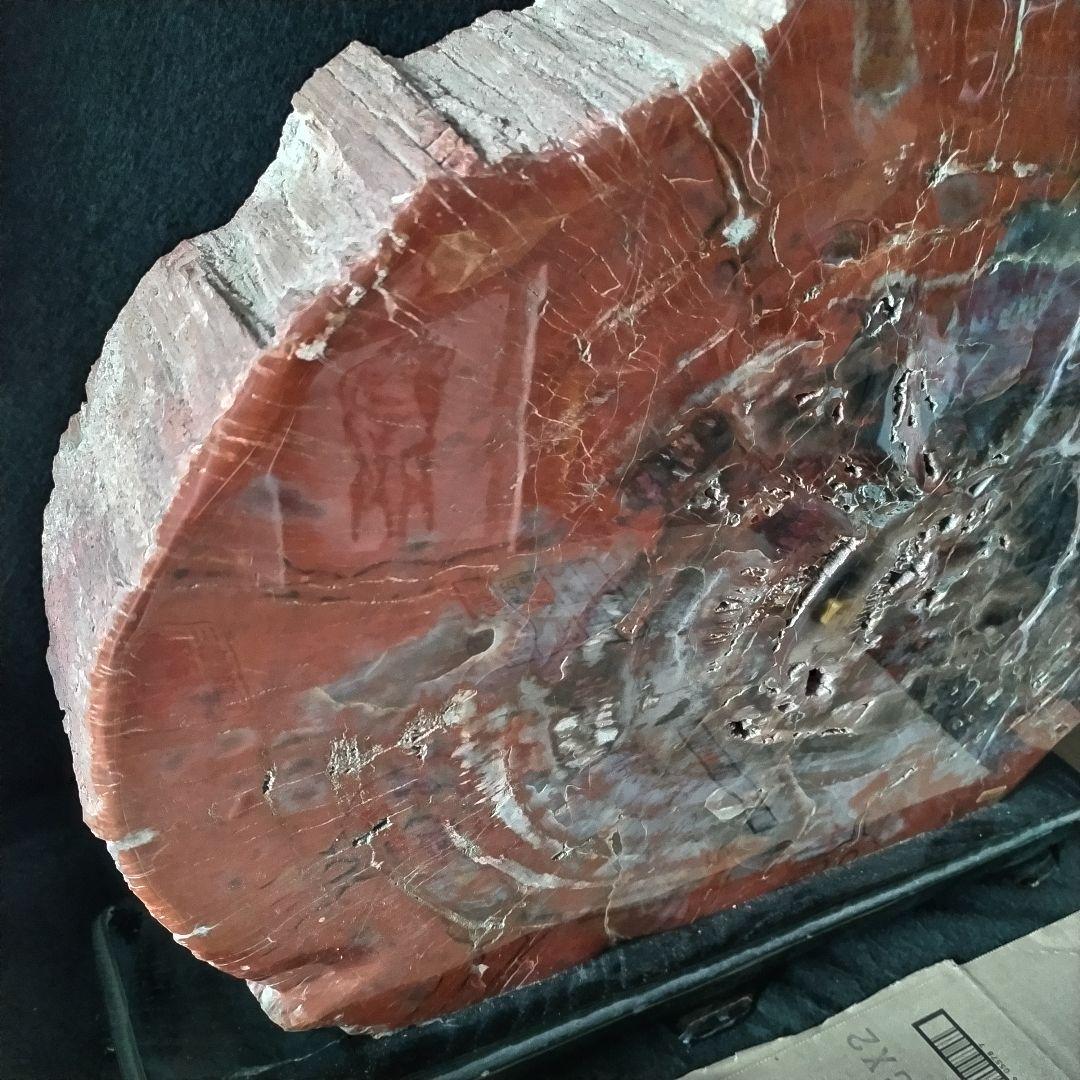 アリゾナ州産 珪化木 大迫力 32kg 木化石 木石 前落札者