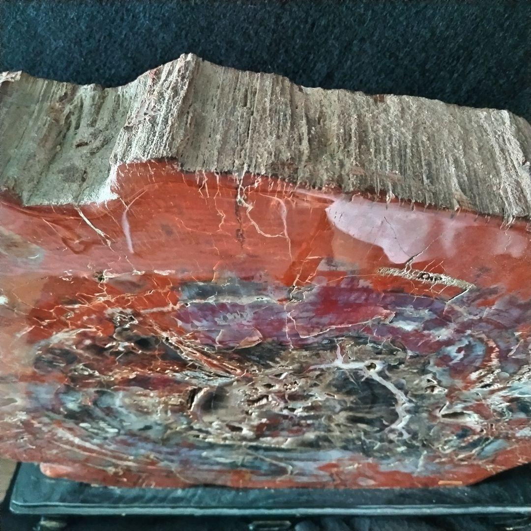 アリゾナ州産 珪化木 大迫力 32kg 木化石 木石 前落札者