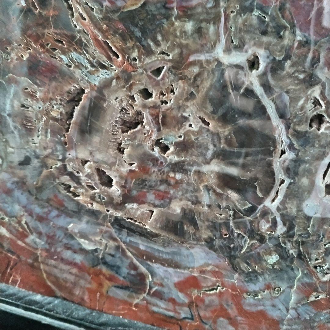 アリゾナ州産 珪化木 大迫力 32kg 木化石 木石 前落札者