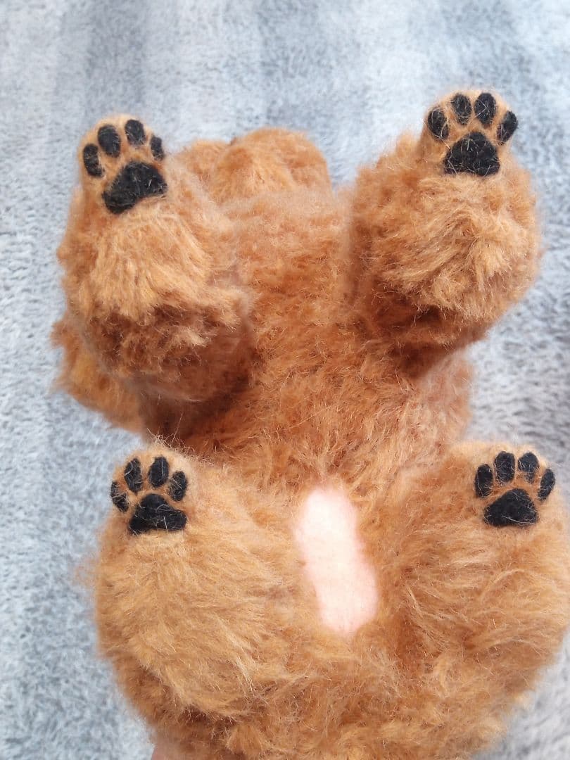 愛犬さんの羊毛フェルトオーダー・マロンチョコ様ご確認専用