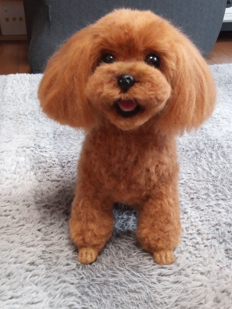 愛犬さんの羊毛フェルトオーダー・マロンチョコ様ご確認専用