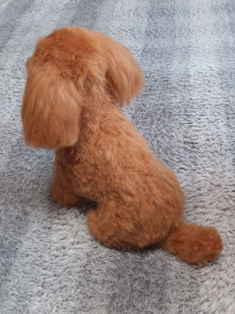 愛犬さんの羊毛フェルトオーダー・マロンチョコ様ご確認専用