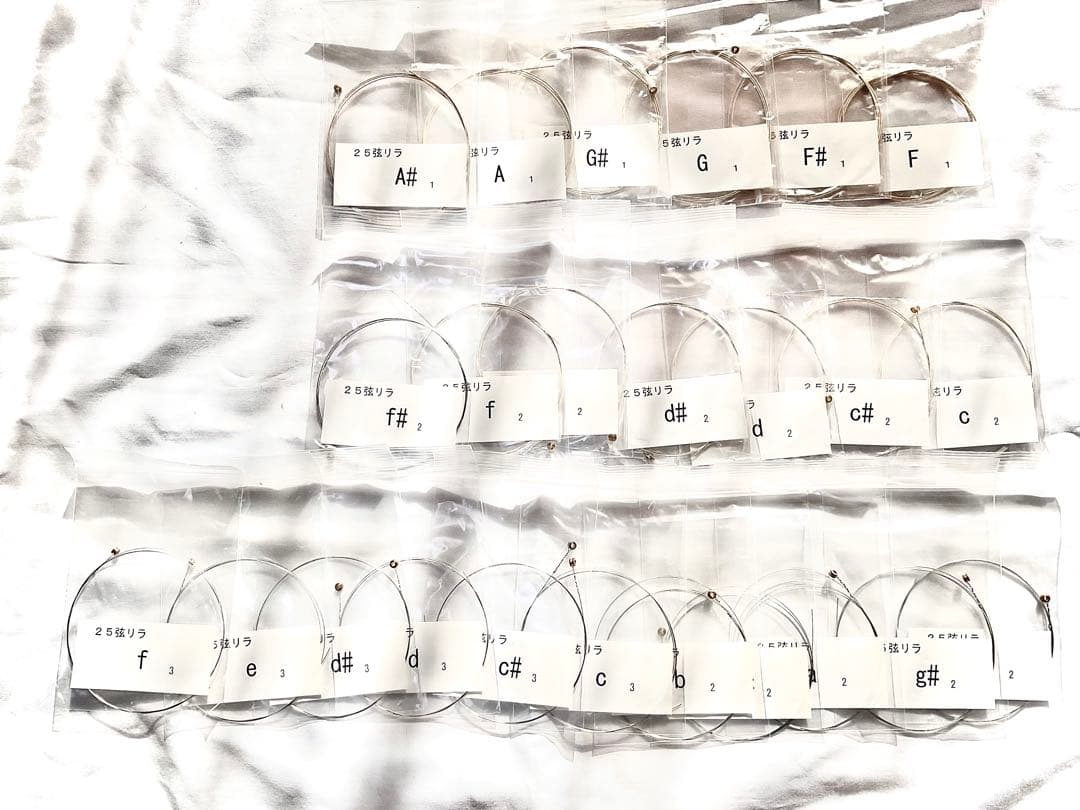 KANNABI 様専用25弦ライアーと収納バッグセット チューニング、替弦付