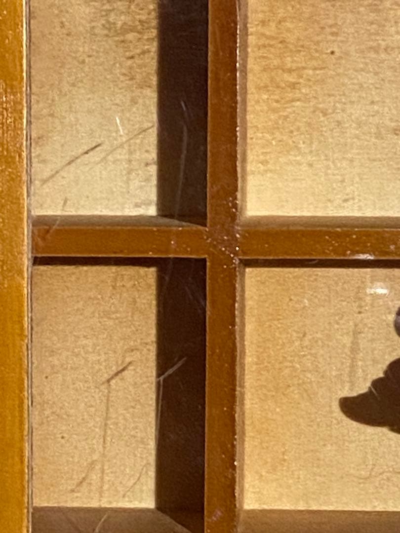 未使用♦️ナチュラルロココ仕様 コレクションケース♦️ウッドラック♦️仕切り多♦️送料込