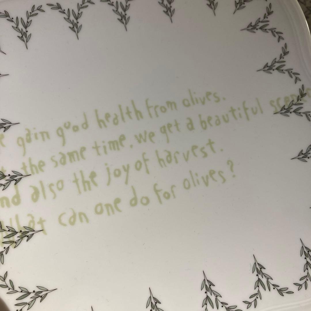 ミナペルホネン　リチャードジノリ　パスザバトン　トリプルコラボプレート　22cm