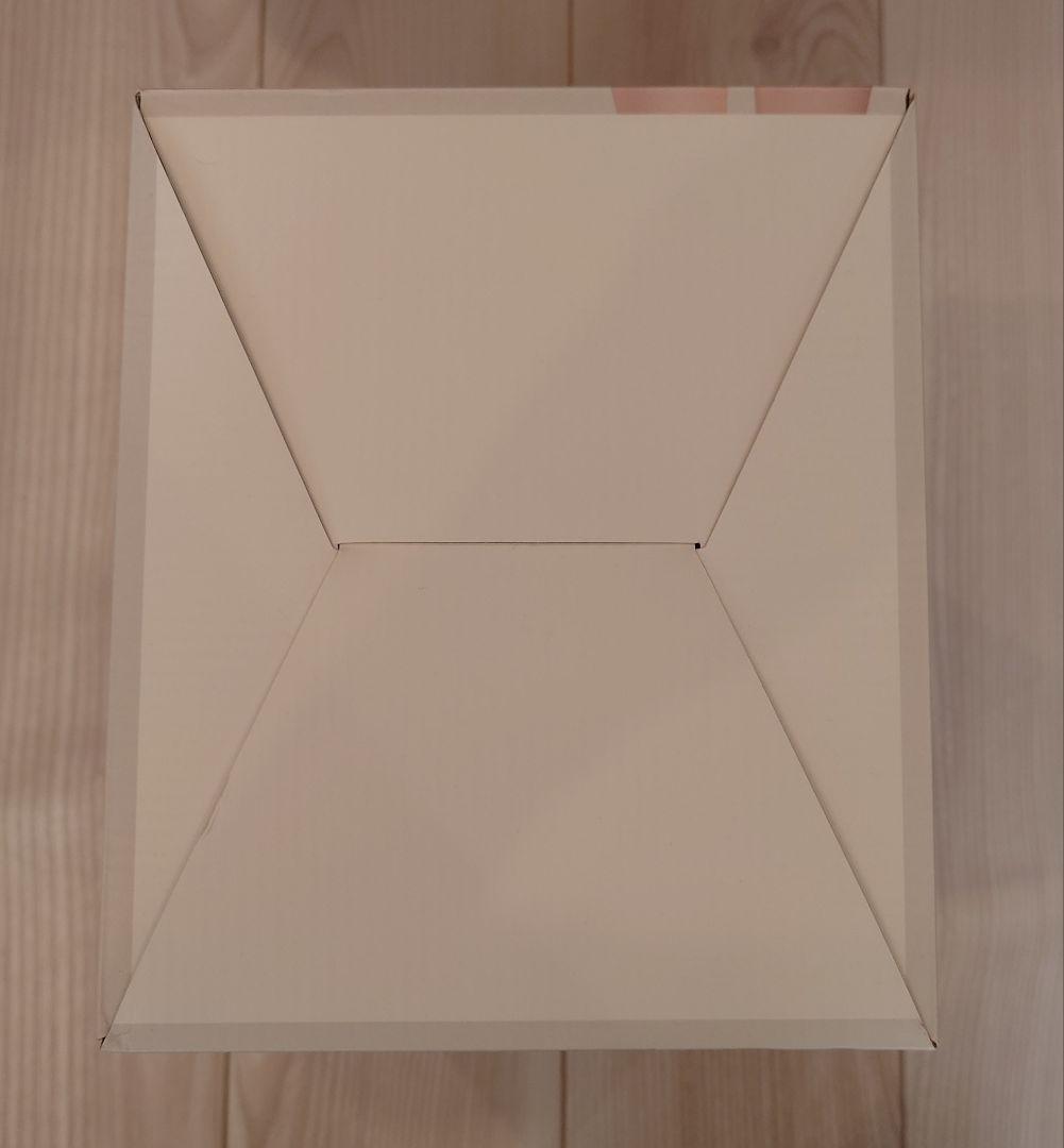 hitomio拾六 自撮り少女 1/6フィギュア 豪華版