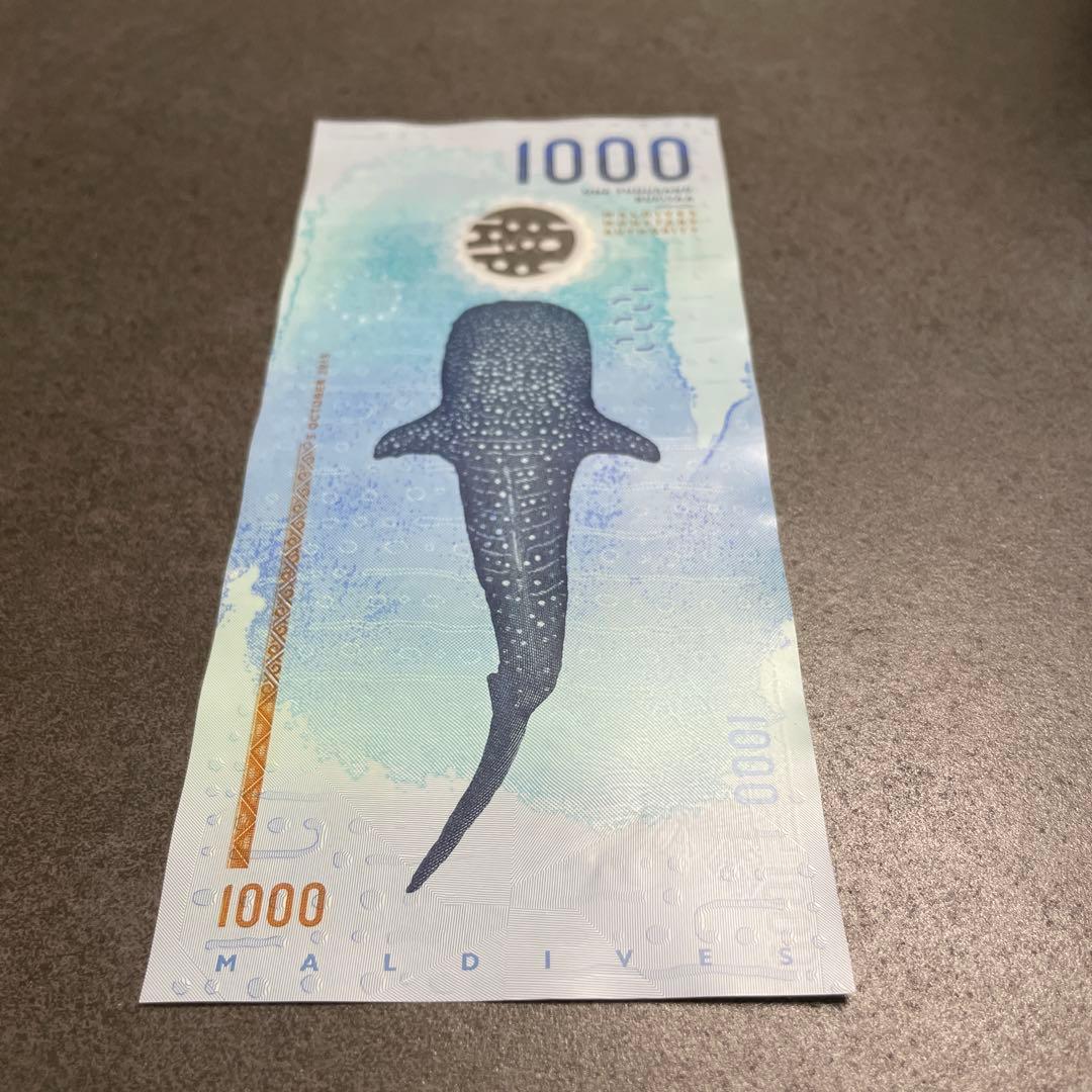 モルディブ紙幣1000ルフィヤ（MVR）紙幣（海亀・ジンベイザメ） - メルカリ