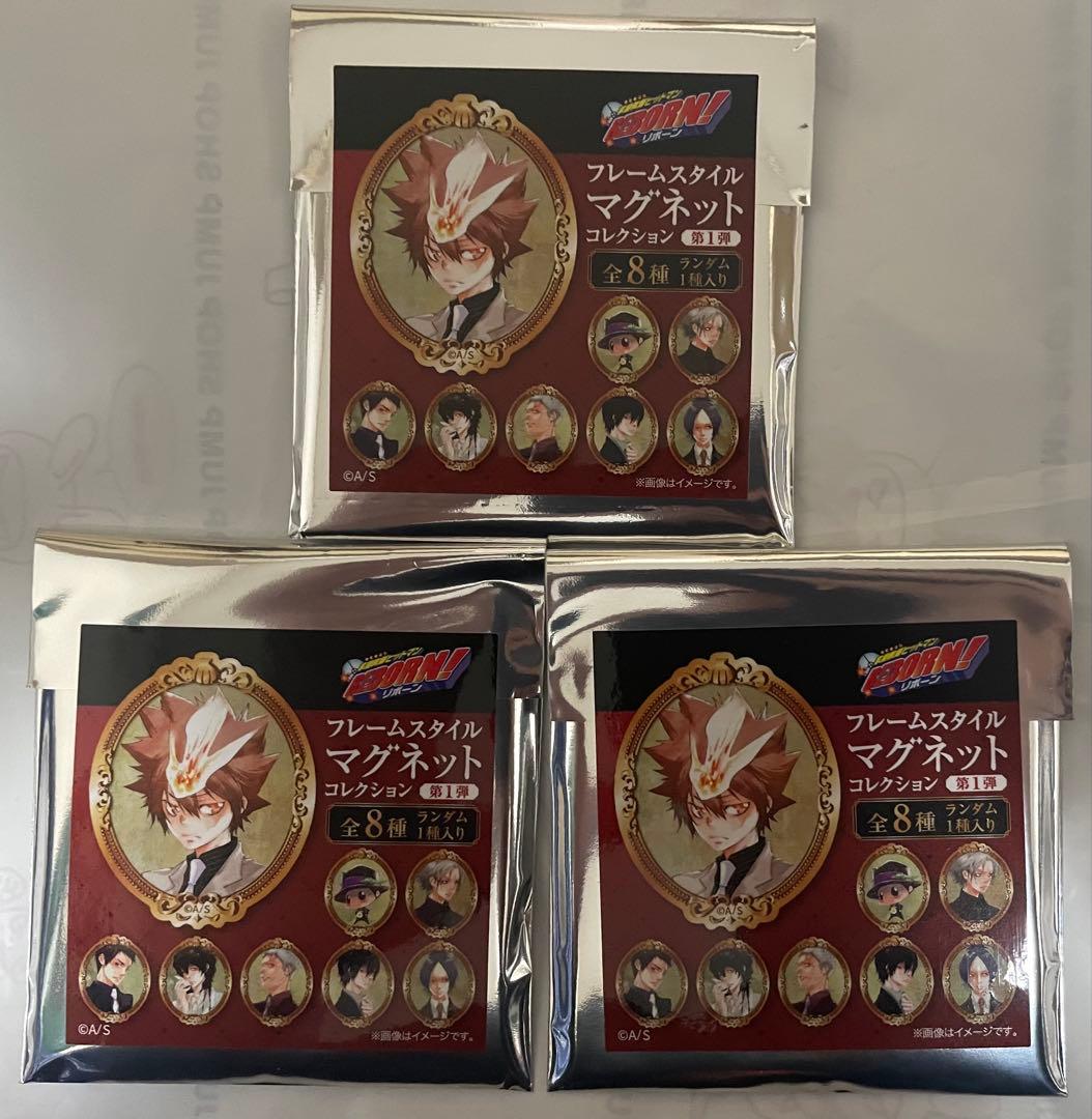 家庭教師ヒットマンREBORN！ フレームスタイルマグネットコレクション