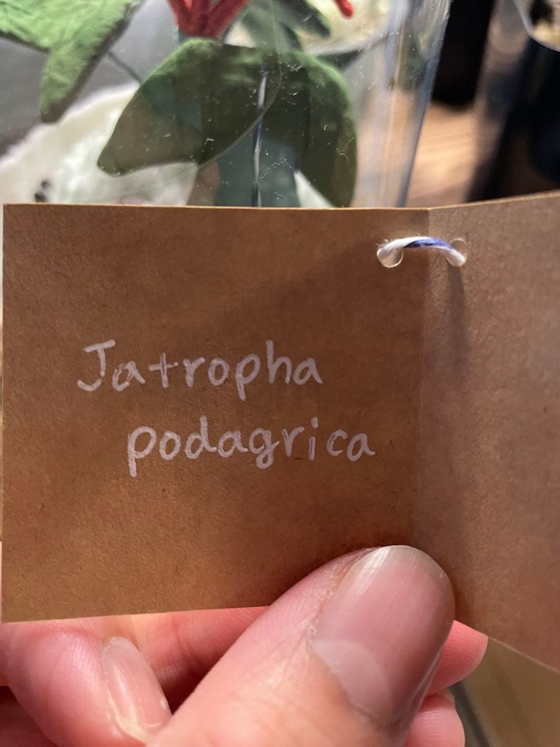 miamauaさん　手芸作品