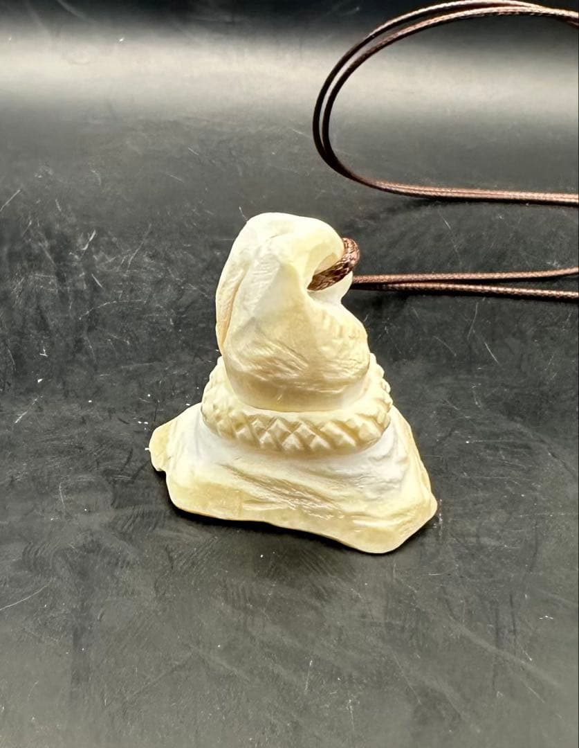 2026.2.15魔女の帽子　カリビアン産コンク貝