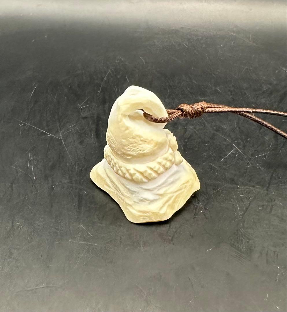 2026.2.15魔女の帽子　カリビアン産コンク貝