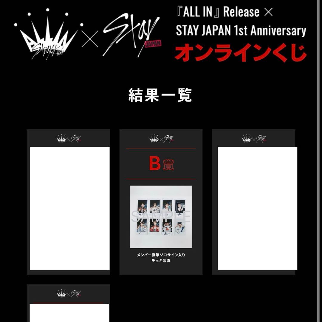 最終値下】 スキズ チャンビン 直筆サイン チェキ ポラ stray kids