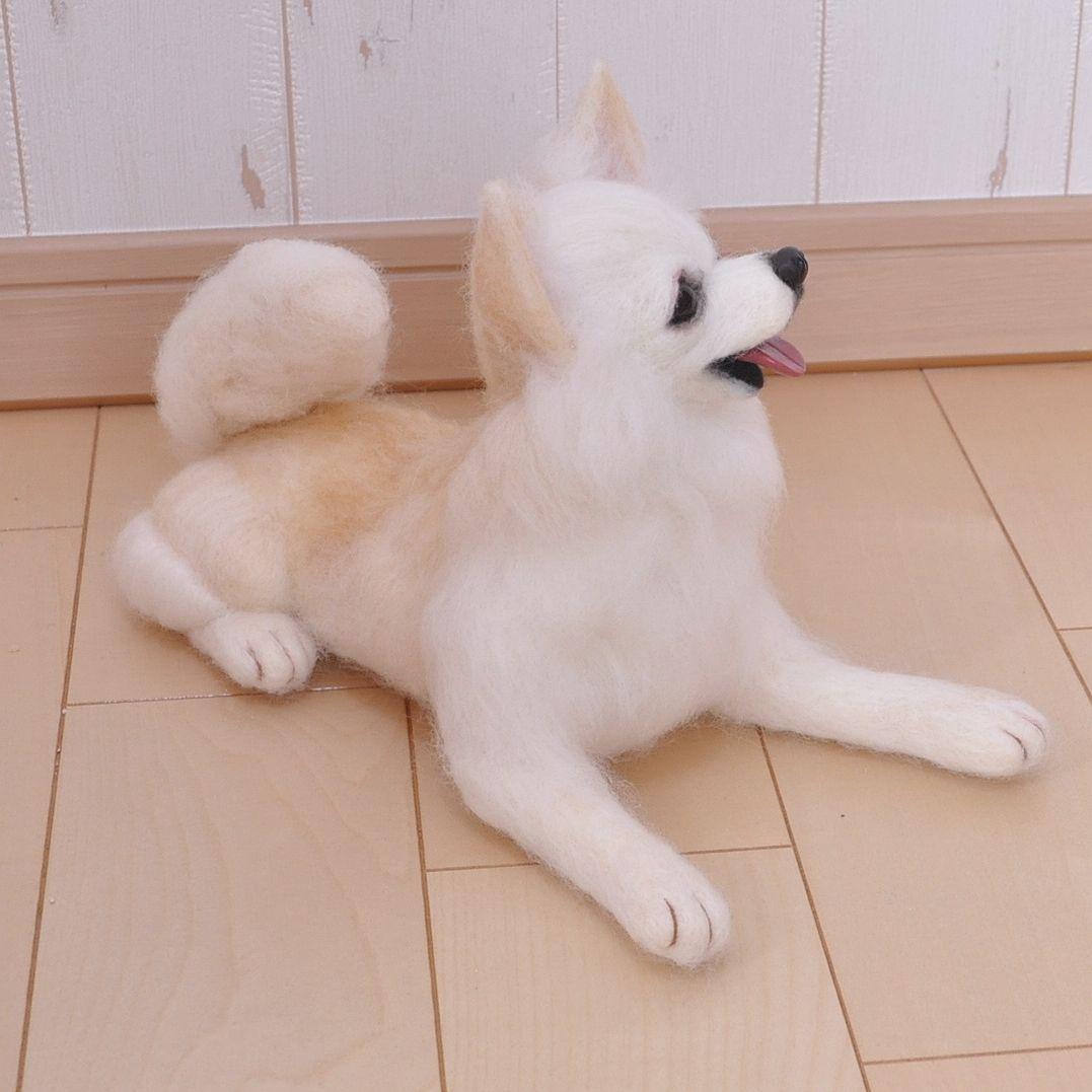 送料無料♡伏せをするチワワ