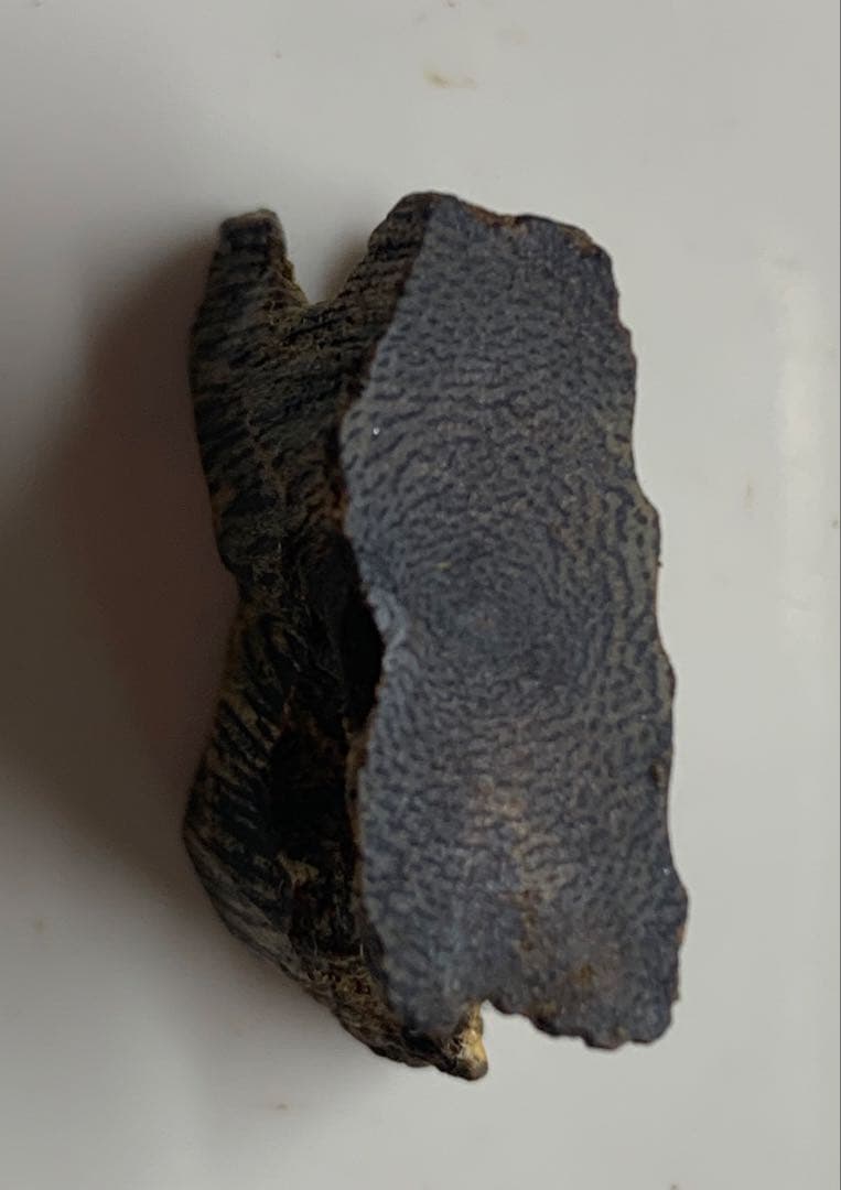 極上緑油伽羅 沈香 香木 沈香線香 緑油伽羅 重さ:2g 限定価格