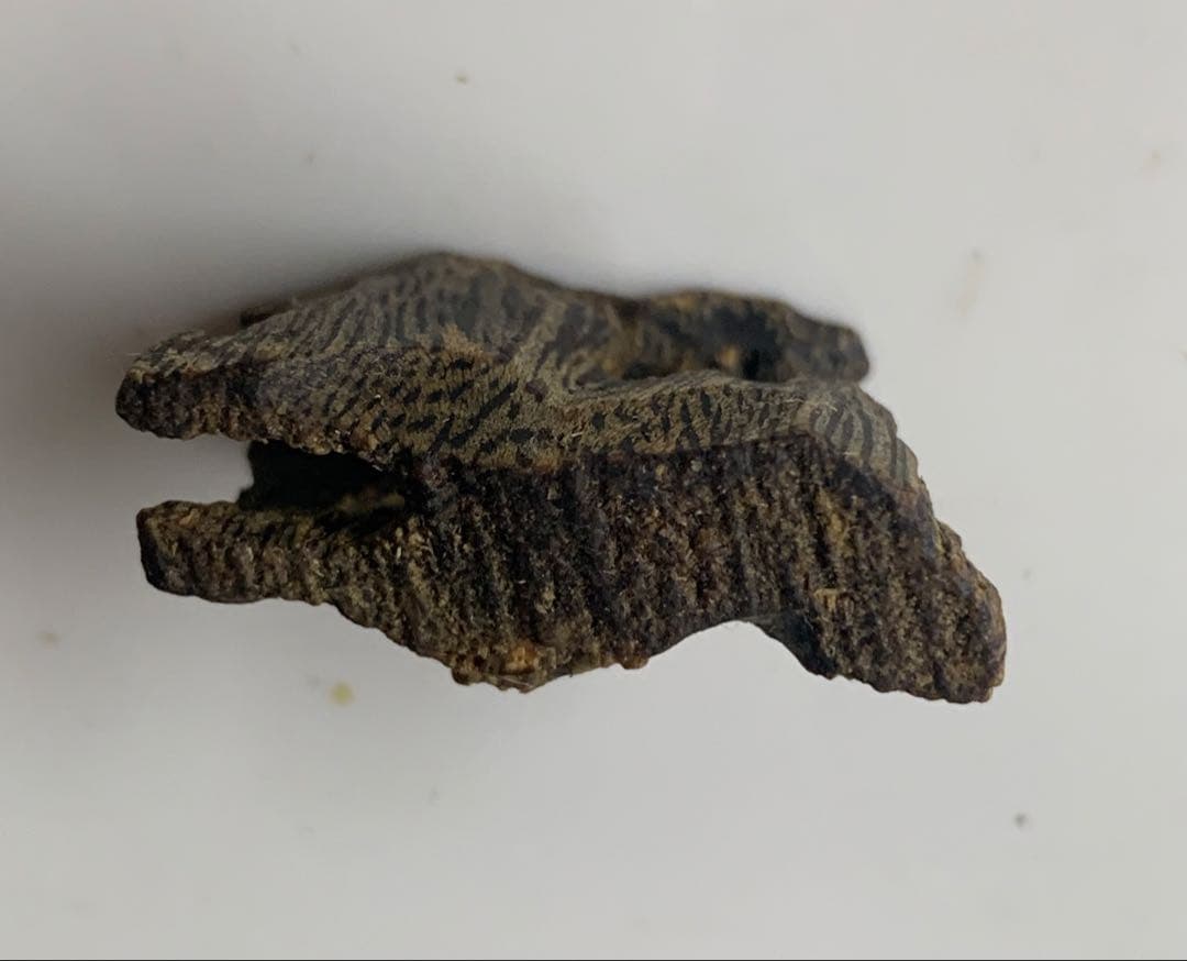 極上緑油伽羅 沈香 香木 沈香線香 緑油伽羅 重さ:2g 限定価格