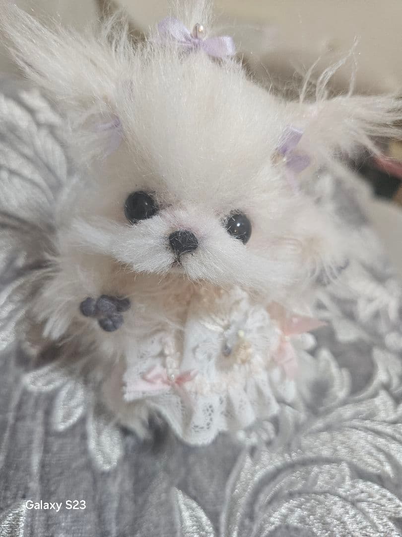 細川さん作品、小さなマルチーズ