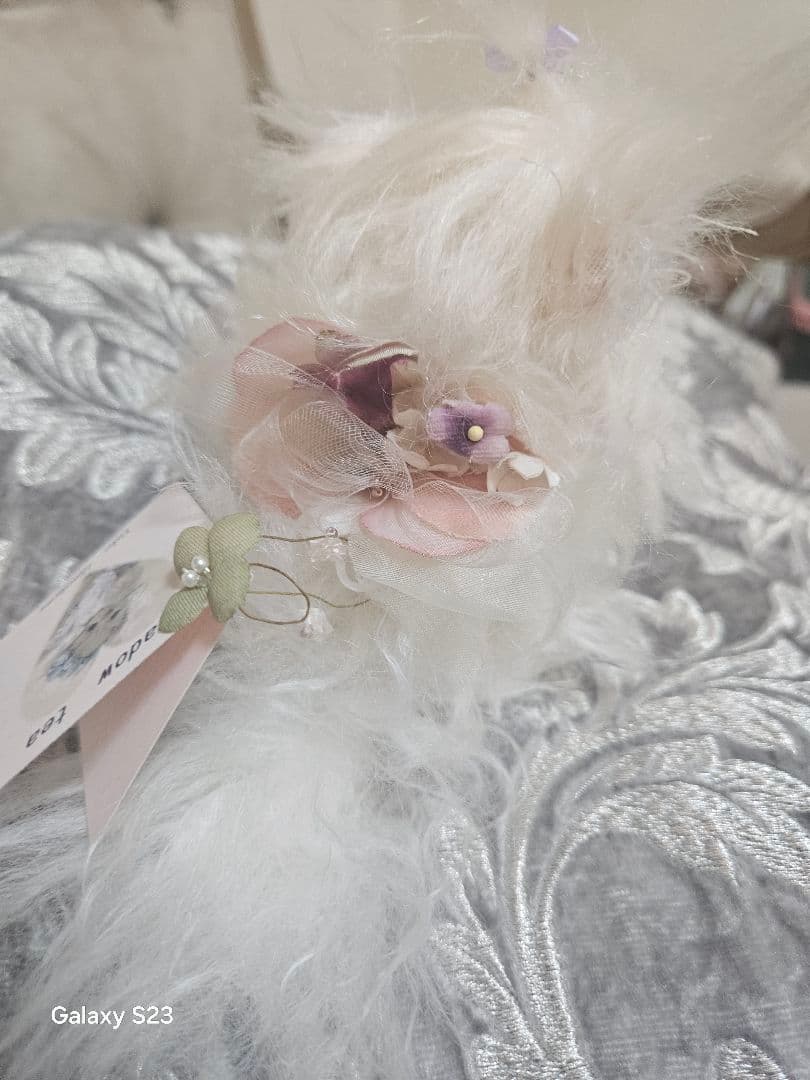 細川さん作品、小さなマルチーズ