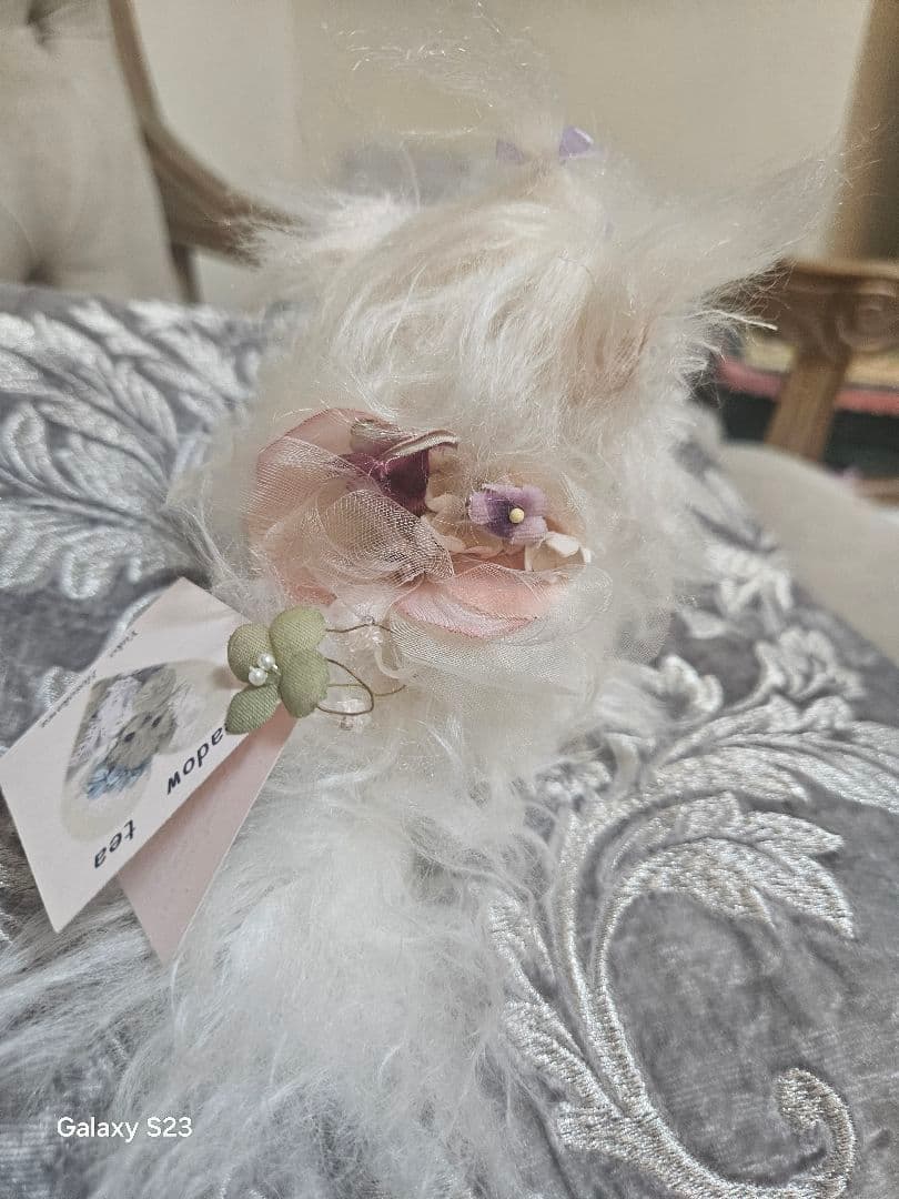 細川さん作品、小さなマルチーズ