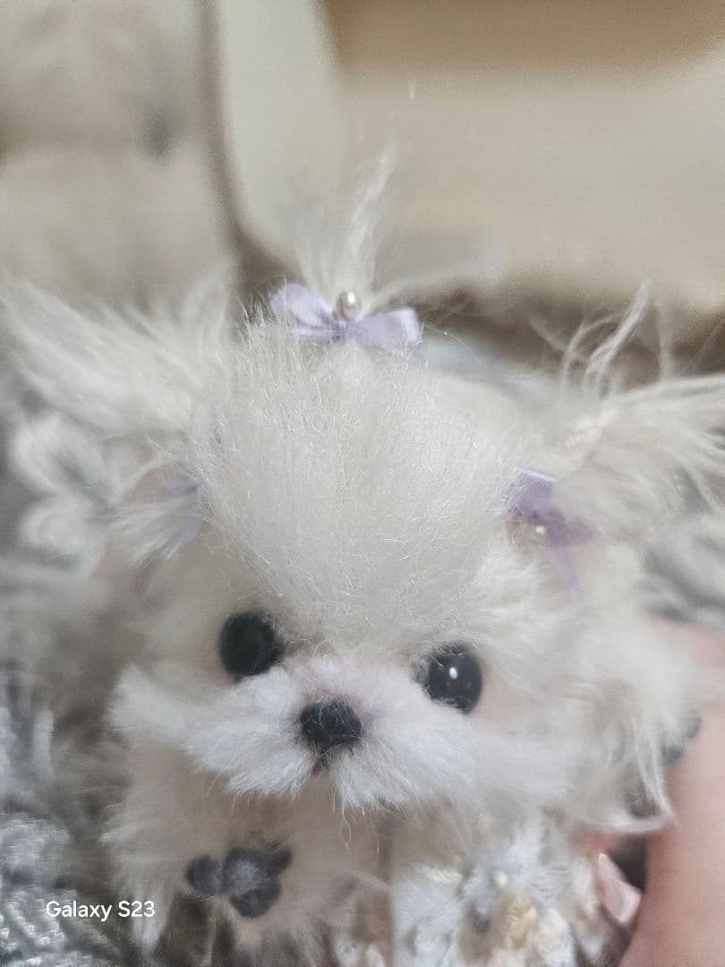 細川さん作品、小さなマルチーズ