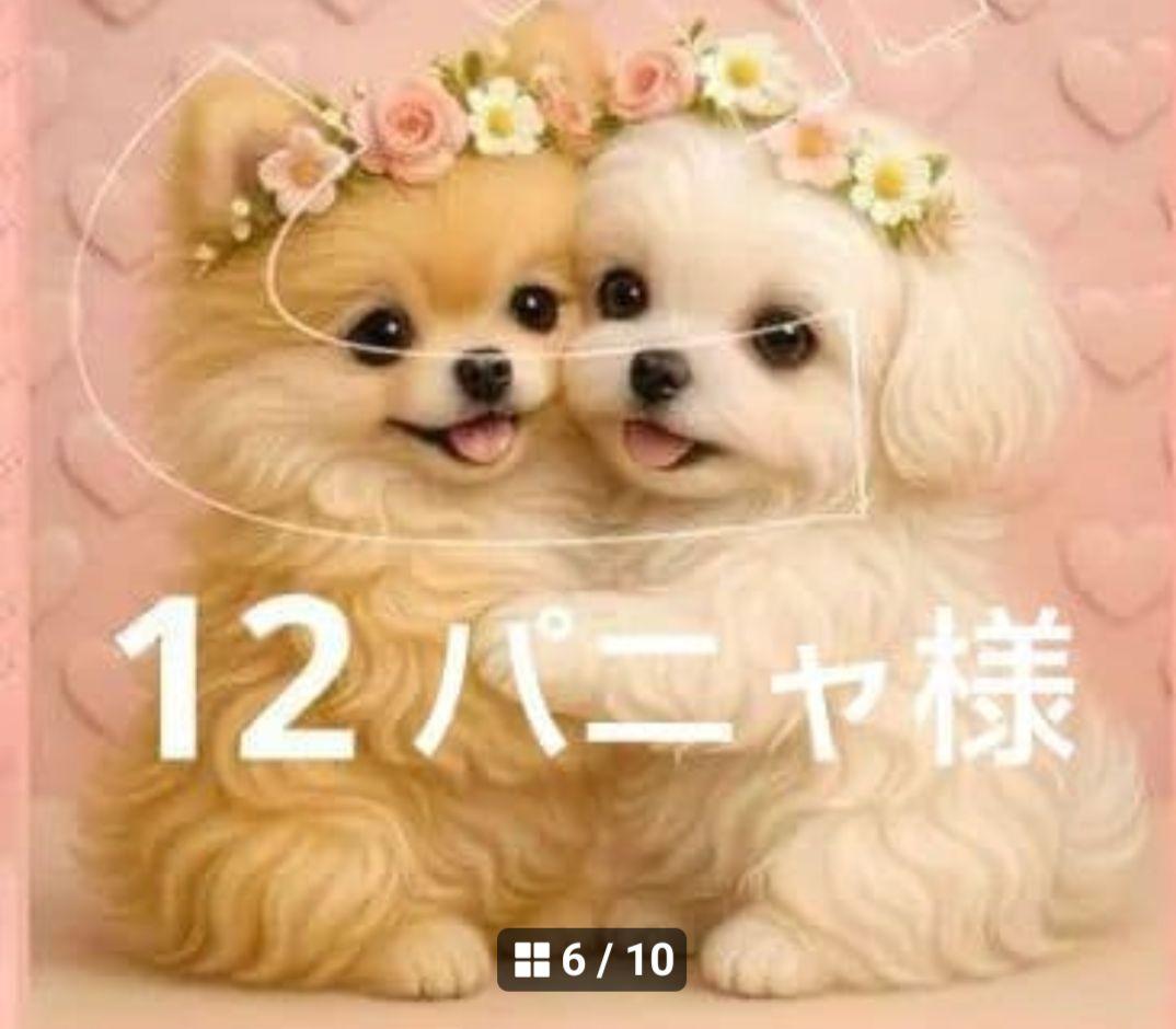 ご確認用　わんこさん柄　ハンカチ　ハンドメイド　12/1 りんご様パネル