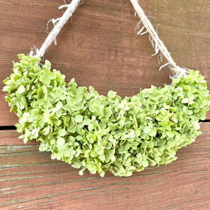 アナベル紫陽花　三日月リース